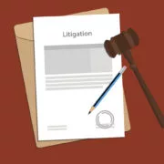 Business Litigation Business Litigation paperwork