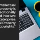 What Is Intellectual Property and How Can You Protect It?