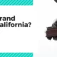 What Is Grand Theft In California