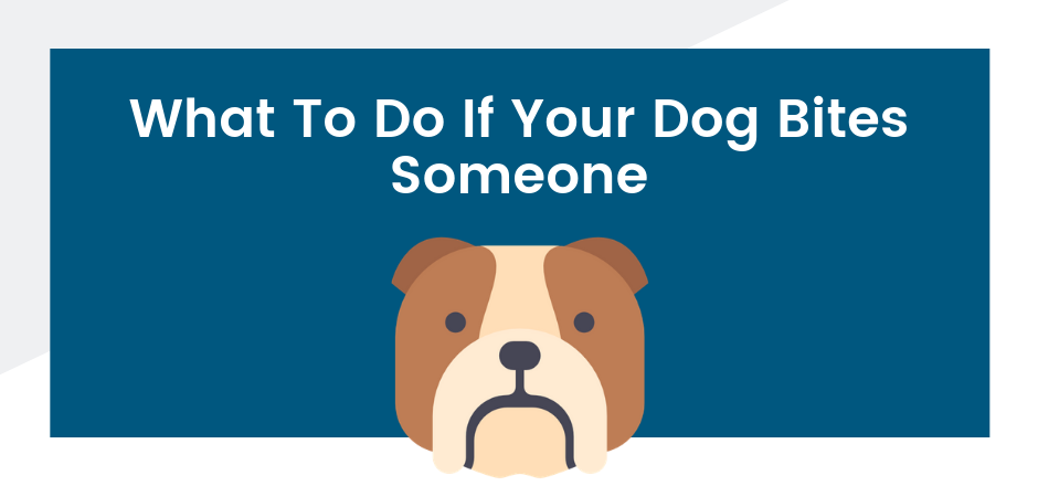 can you be charged if your dog bites someone