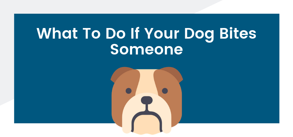 What To Do If Your Dog Bites Someone | SFVBA Referral