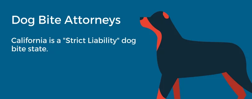 Dog Bite Lawyer In Los Angeles | SFVBA Referral 