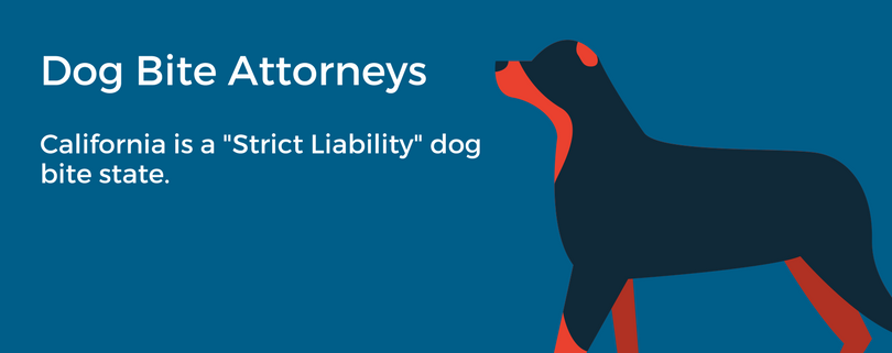 Dog Bite Lawyer In Los Angeles | SFVBA Referral Service