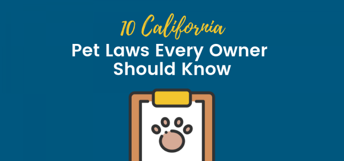 10-california-pet-laws-you-should-know-sfvba-referral