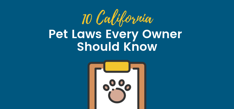 10-california-pet-laws-you-should-know-sfvba-referral