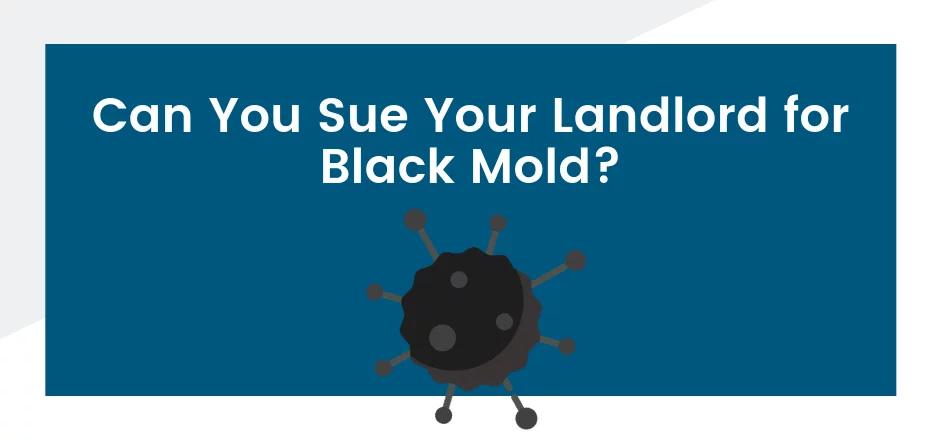 can you sue your landlord for black mold