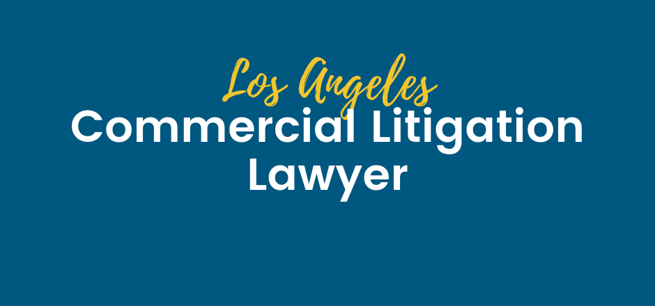 commercial litigation lawyer